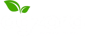 agzora.com
